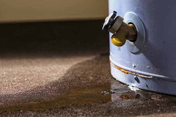 Reliable AL Water damage restoration Solutions