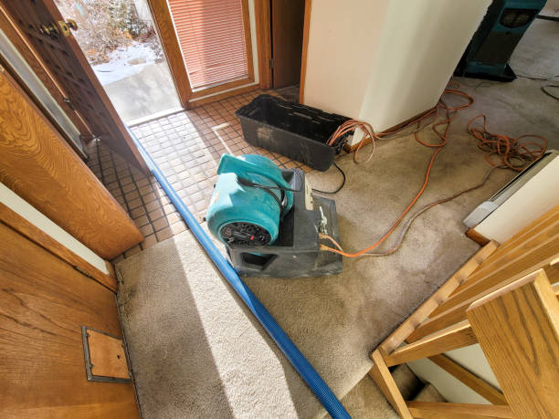 Best Local water damage restoration  in Semmes, AL