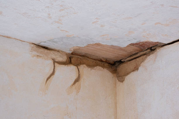 Best Flood restoration services  in Semmes, AL
