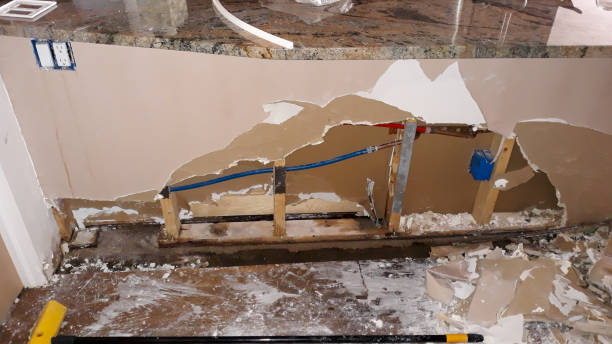 Best Flooded house restoration  in Semmes, AL