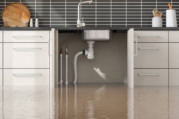 Best Flood damage cleanup  in Semmes, AL